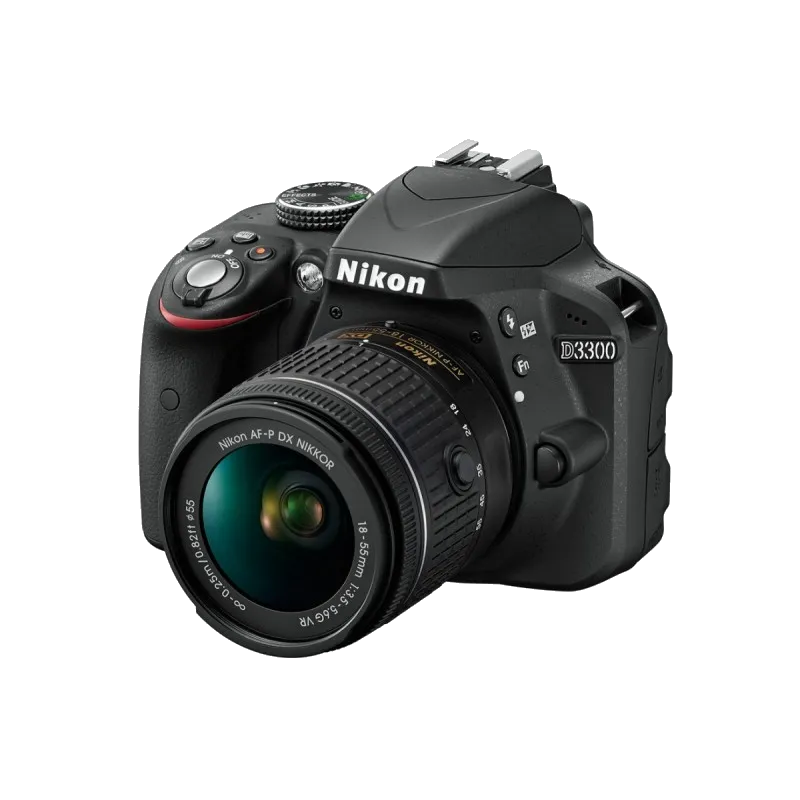 D3300
